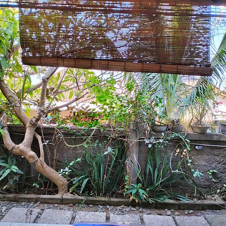 Dharma Yoga Homestay Dan Hostel Amed Esterno foto